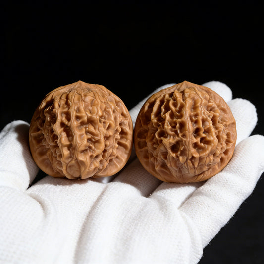 The "Wild Plain Hidden Tip" (Ye Su Men Jian) Lion Head Pair | 38.0mm x 36.0mm | YSMJ-002 - ThePatinaProject