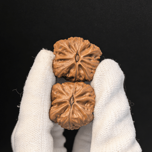 The "Wild Qiu Zi" – 31mm Sharp Ridge Acupressure Pair | QZ-86 (Actual Item Pictured) - ThePatinaProject