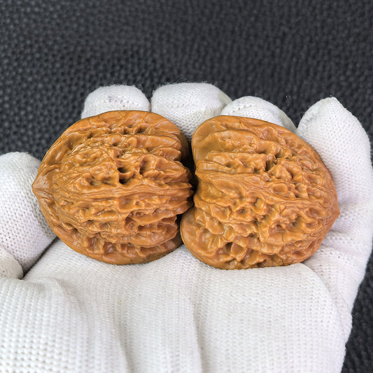 The "Xia Yun Ling" Lion Head Pair | 36.0mm x 36.0mm | XYL-401 - ThePatinaProject