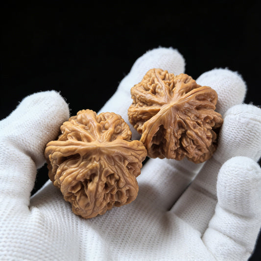The "Xiao Xiao Cujin" (Fine Rugged Veins) Pair | 34.0mm x 38.0mm | Collector Grade - ThePatinaProject