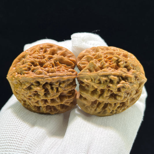 The "Xiayunling" (XYL) Heritage Deep-Belly Lion Head Pair | 42.0mm x 38.0mm | XYL-802 - ThePatinaProject