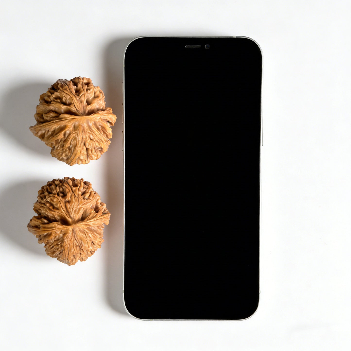 Walnut hand exerciser from ThePatinaProject, "Apple Round" PGY-03, 43mm diameter, smooth wooden grip for stress relief and grip strength.