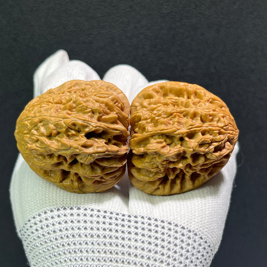 Walnut hand exerciser pair called Blizzard by ThePatinaProject, 41mm x 40mm, showing textured walnut surface and ergonomic design.