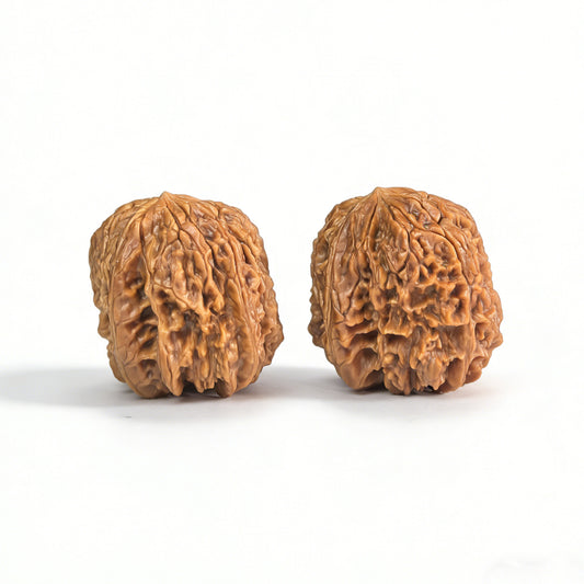 Pair of Walnut Hand Exercisers called "Blizzard" by ThePatinaProject, featuring Tian Can mutation, measuring 38x41mm.
