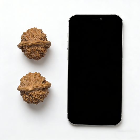 Pair of Walnut "Da Gu Shi" large stone hand exercisers by ThePatinaProject, 41.1mm size, showing textured walnut surface and shape.