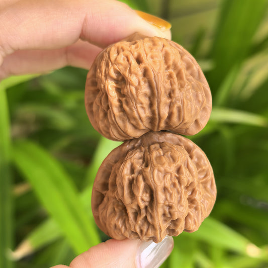 Pair of walnut hand exercisers labeled "De Tou Gou" (Yuanbao), 32mm x 31mm, from ThePatinaProject for grip strengthening.