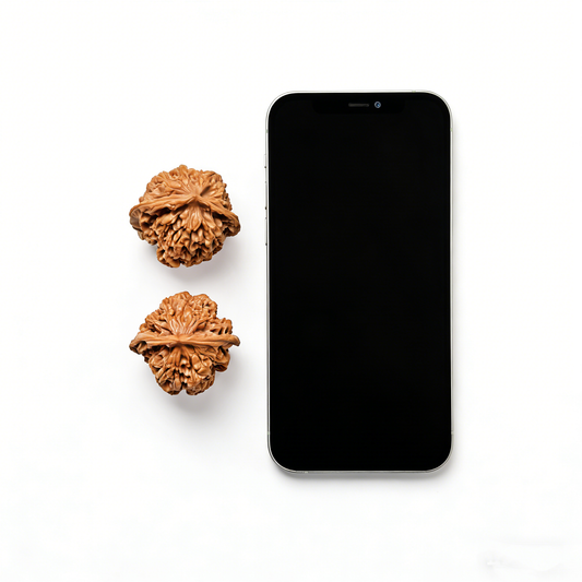 Walnut hand exercisers with ridged design and broad base, part of ThePatinaProject Imperial Official’s Hat collector’s pair.