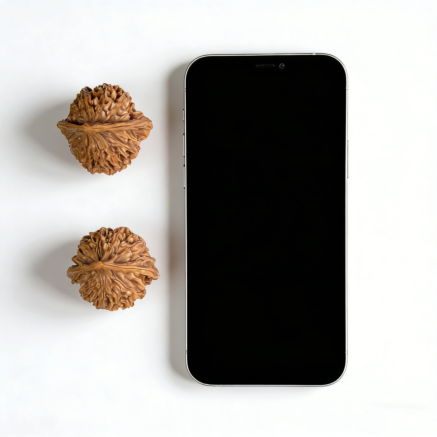 Pair of Walnut Hand Exercisers called Lantern (Deng Long), 39mm x 37mm, DL-301 by ThePatinaProject, shown in the image.
