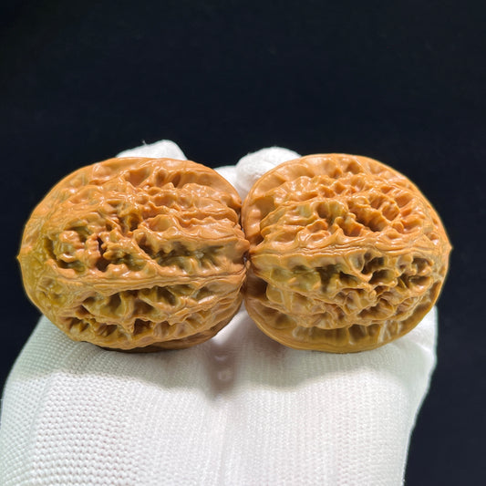 Pair of Walnut Hand Exercisers, Phoenix Terrace FHT-901, balanced 1:1 ratio, 41mm x 41mm, by ThePatinaProject.