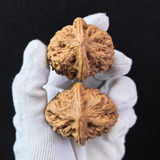 Pair of Pinggu Jin Zhong Walnut Hand Exercisers, 44mm, from ThePatinaProject, featuring golden bell design and smooth wooden finish.