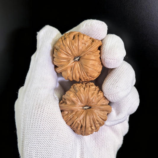 Pair of Walnut Hand Exercisers labeled Pumpkin Cushion from ThePatinaProject, collector level NGD-03, 37mm size, natural wood finish.