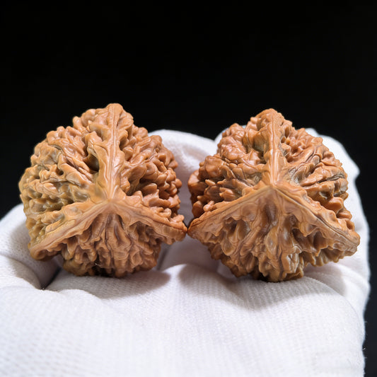 Walnut hand exerciser from ThePatinaProject's San Leng Crown collection, 38x33x45mm, showcasing detailed wood grain and craftsmanship.