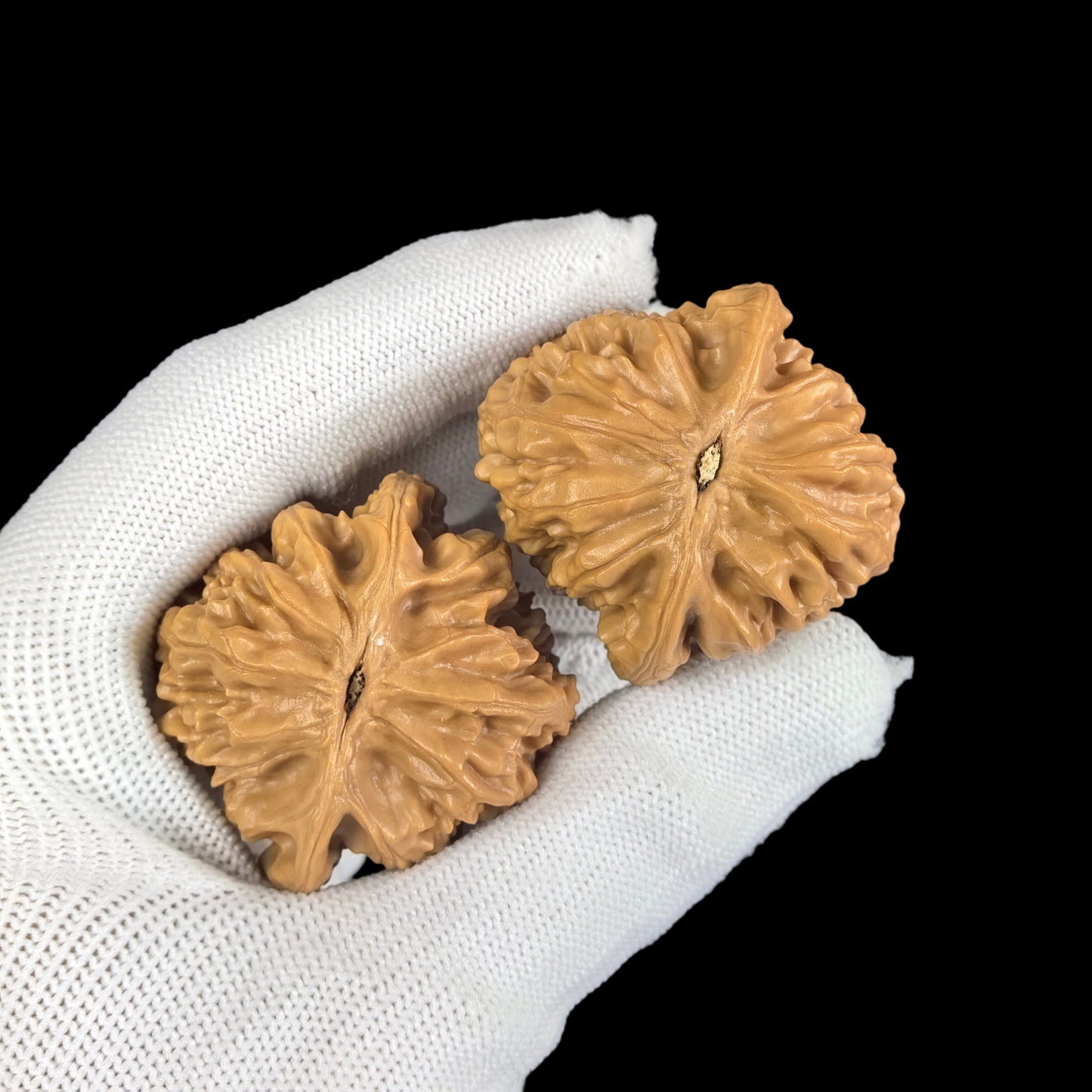Walnut hand exercisers from ThePatinaProject's Seven Mountains pair, 35mm QS-01, showing textured walnut surface and ergonomic design.