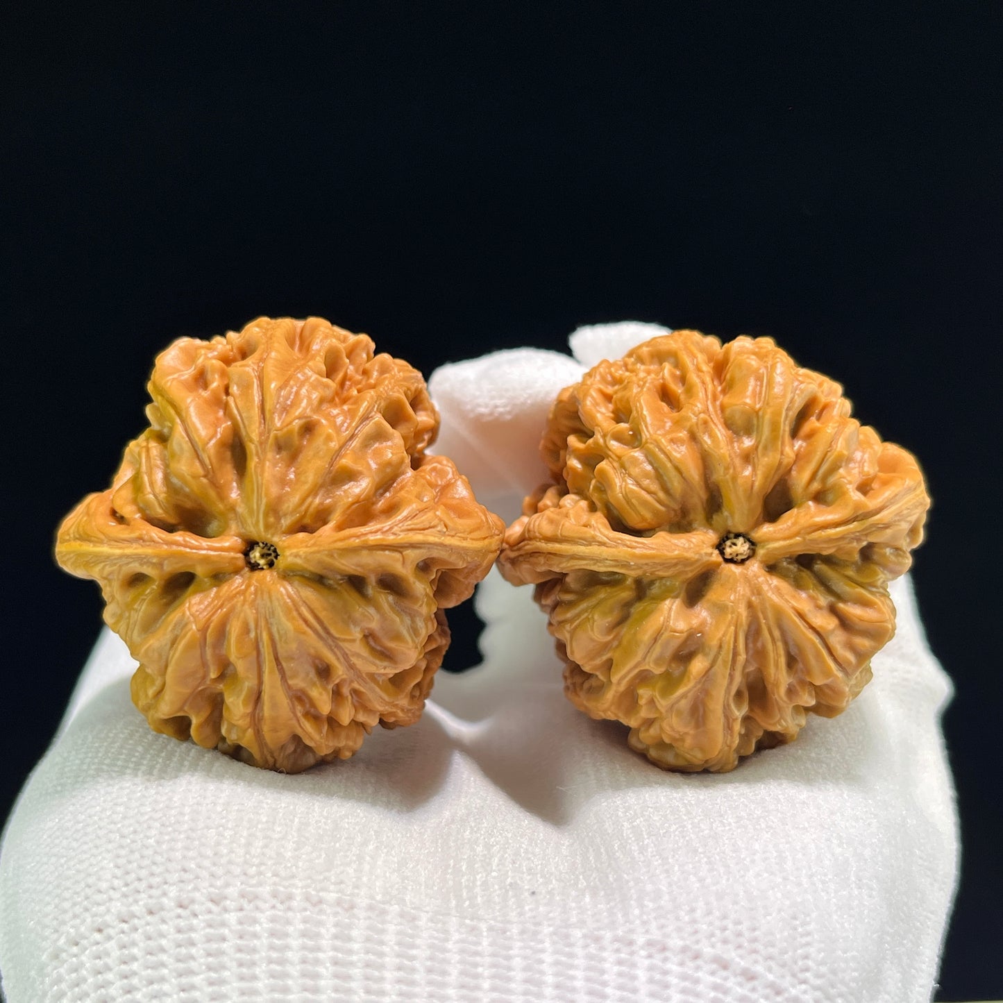 Walnut hand exerciser from ThePatinaProject, Thick Ridge Cu Jin pair, perfectly balanced, 42mm x 42mm, for grip strength training.