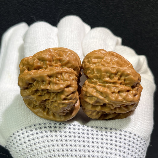 Walnut hand exerciser pair labeled "Toad Head" by ThePatinaProject, 36mm x 39mm, featuring textured walnut wood handles.