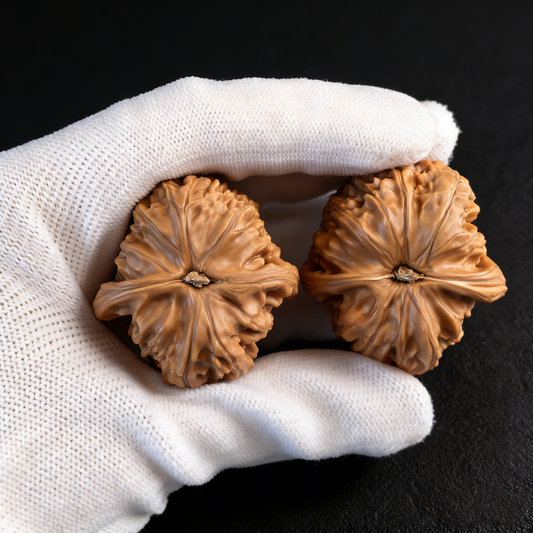 Pair of White Lion Orb walnut hand exercisers, 40mm perfectly round Qiu Bai design by ThePatinaProject, shown in the image.