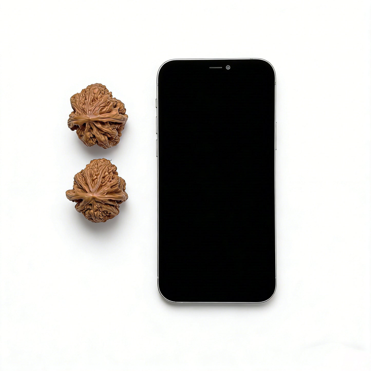 Walnut hand exercisers from ThePatinaProject, Xiao Xiao Cujin pair with fine rugged vein detail, collector grade, 34x38mm size
