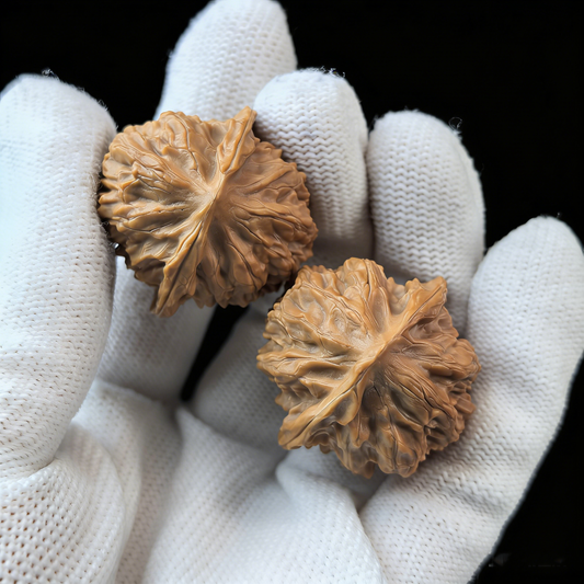 Ye Sheng Wild Walnut Hand Exerciser, 33mm, YS-02 by ThePatinaProject, showing textured walnut surface and ergonomic design.