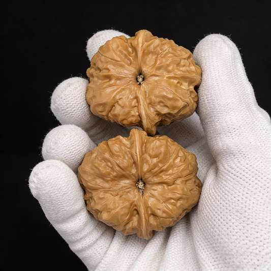 Pair of Unique #HMT-311 Toad Head Wenwan Walnut Hand Exercisers from ThePatinaProject, featuring a low-profile, classic design.