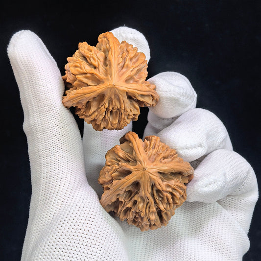 "Three-Ribbed Reaching Heaven Eight" Tongtianba Sanling TTBSN-SY1H3 Rare Wenwan Walnuts Pair | 35.0mm x 36.0mm | TTBSN-SY1H3 - ThePatinaProject