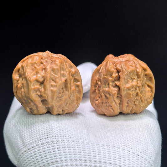 "Toad Head Crippled Foot" Hama Tou Tiancan Jiao W-1407 Low-Profile Wenwan Walnuts Pair | 38.0mm x 41.0mm | W-1407 - ThePatinaProject