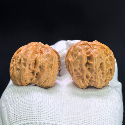 "Toad Head" Hama Tou W-1404 Low-Profile Wenwan Walnuts Pair | 36.0mm x 38.0mm | W-1404 - ThePatinaProject