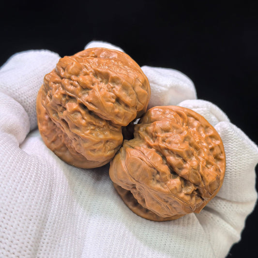 "Toad Head Hawk-Beak Vulture" (Hamatou Yingzui Zuoshandiao) Scholar Walnuts Pair | 37.0mm x 41.0mm | Inverse Deep-Belly Profile | Singularities Grade Masterpiece | Stock ID: HMTYZZSD-CG202E - ThePatinaProject