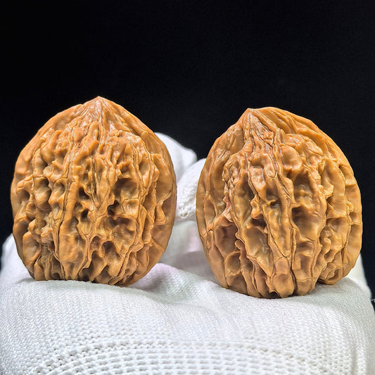 "Tong Tian Ba" TTB-1602 Collector Lineage Wenwan Walnuts Pair | 36.0mm x 34.0mm | Stock ID: TTB-1602 - ThePatinaProject