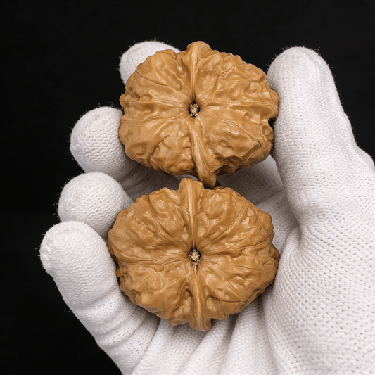 Unique Pair HMT-311: "Toad Head" (Ha Ma Tou) Wenwan Walnuts — Rare Low-Profile Classic - ThePatinaProject