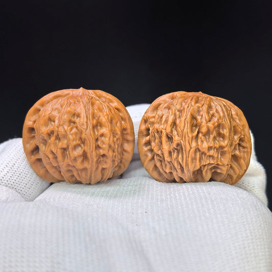 “War Drum” Compact Wenwan Walnuts Pair | 36.0mm × 35.0mm | ZG-1111 - ThePatinaProject