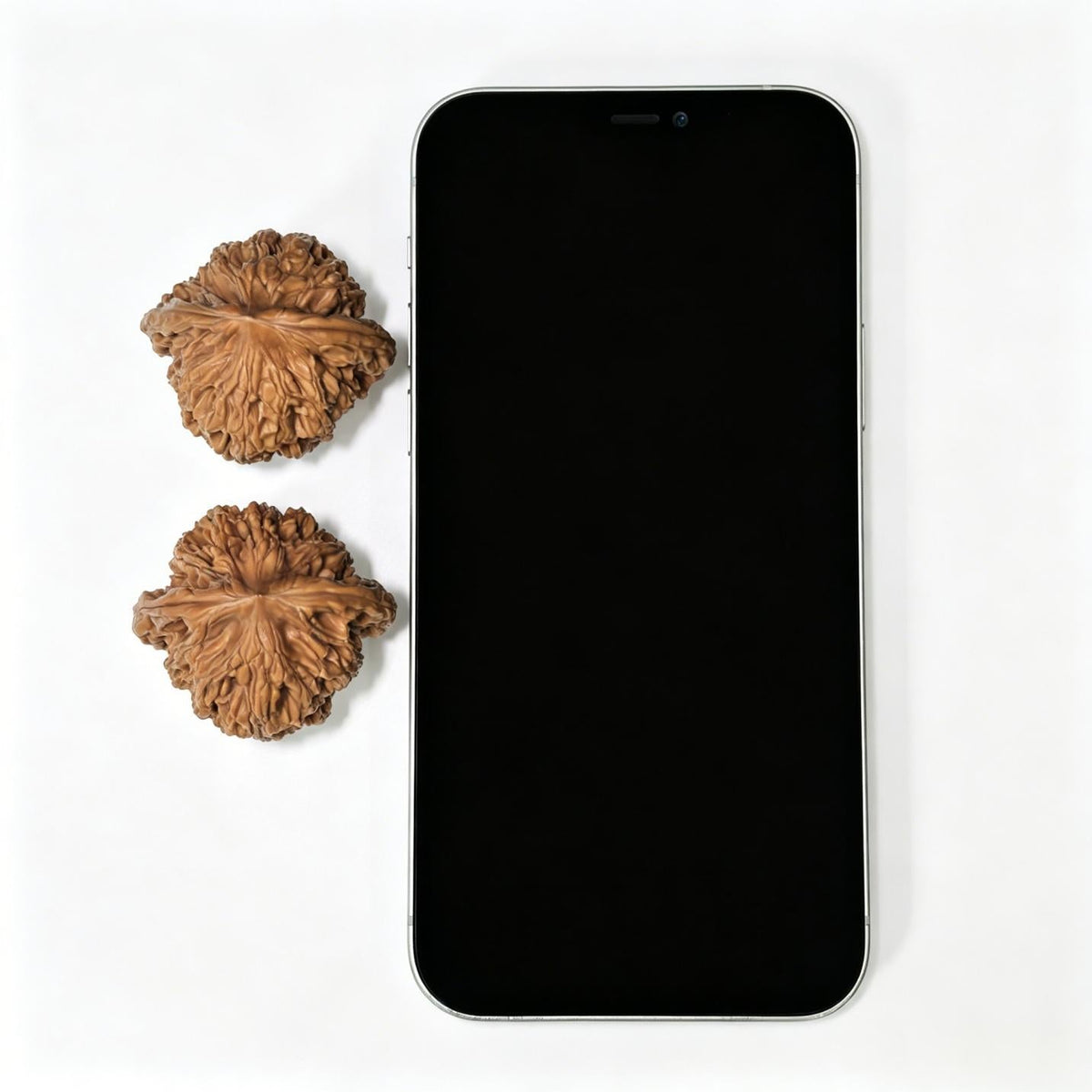 "Wheat Ear Tiger Head" (Mai Sui Hu Tou) MSHT-1405 Collector Wenwan Walnuts Pair | 40.0mm x 36.0mm | Stock ID: MSHT-1405 - ThePatinaProject