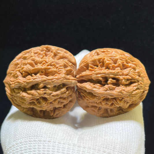 "Wheat Ear Tiger Head" Maisui Hutou Wenwan Walnuts Pair | 40.0mm x 39.0mm | MSHT-1102 - ThePatinaProject