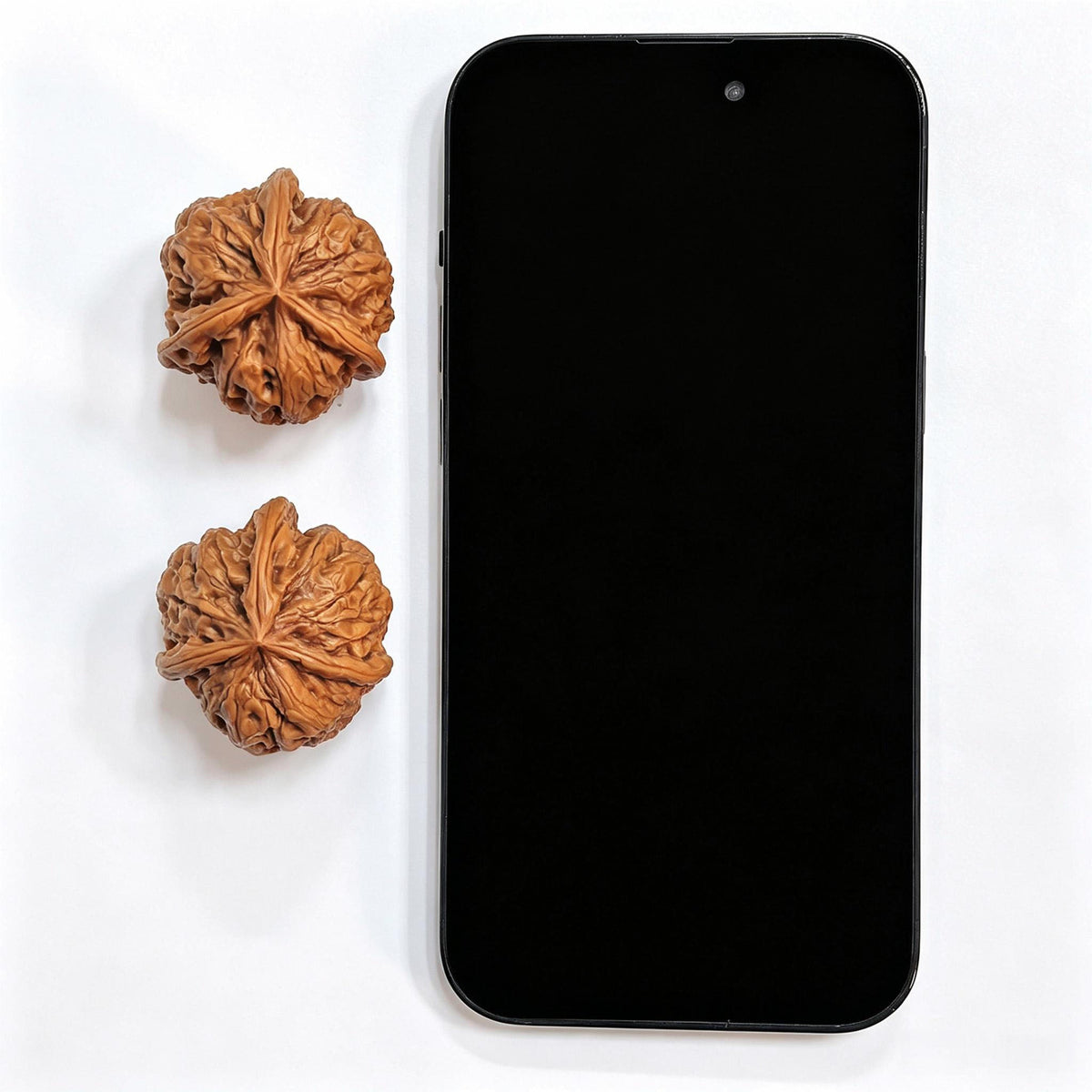 "Yu Hua Shi San Leng Ben" YHSSN-CG1A3E Mutational Lineage Wenwan Walnuts Pair | 37.0mm x 37.0mm | Stock ID: YHSSN-CG1A3E - ThePatinaProject