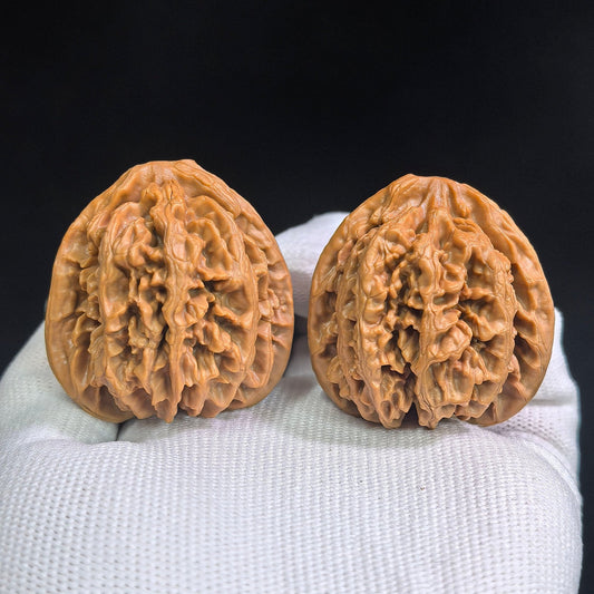 Zhuangyuan Guan Wenwan Walnuts Pair | Rare Variety | 38.0mm × 37.0mm | ZYG-SY1D3 - ThePatinaProject
