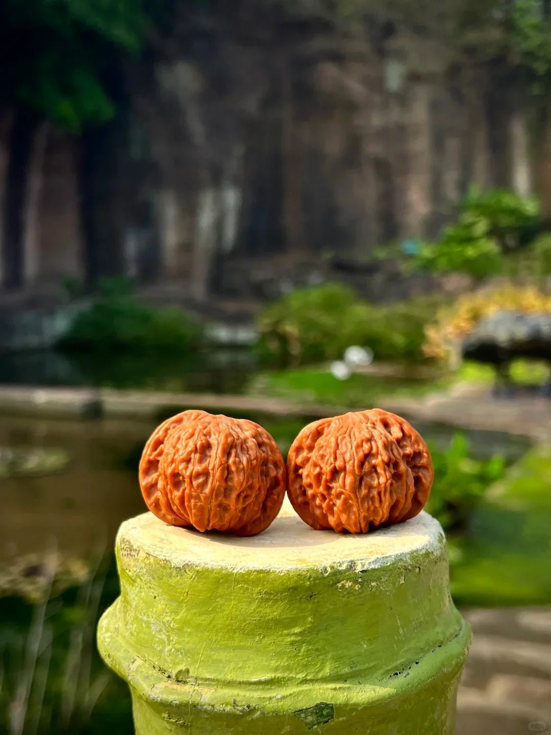 A mature pair of Wenwan walnuts showing natural patina and traditional hand-play character