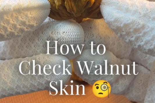 Beyond the Shine: The Professional Art of Brushing Wenwan Walnuts