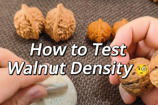The Sound of Quality: How to Test Walnut Density Like a Pro