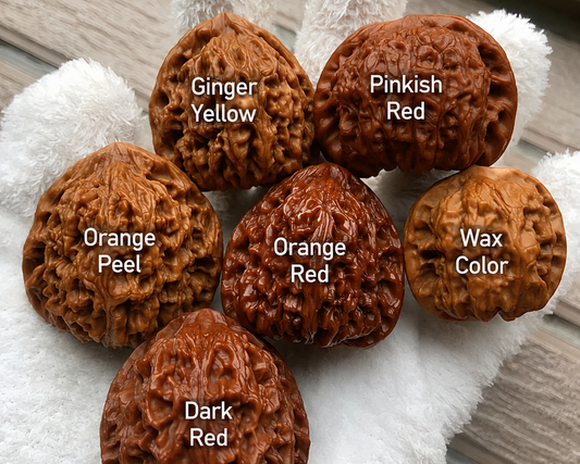 Wenwan Walnut Skin Quality: Pizi & Patina Guide | ZenWalnut