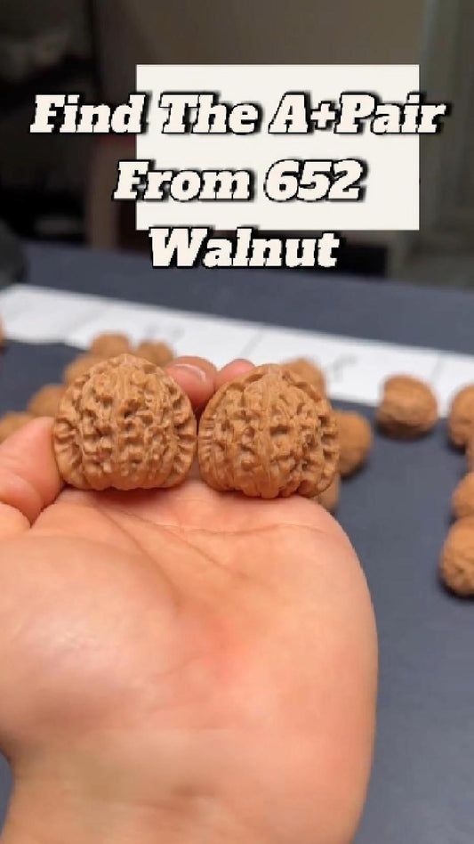 How We Choose a Walnut Pair Worth Keeping - ThePatinaProject
