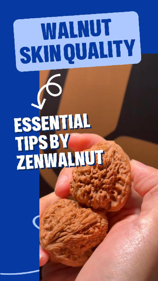 The Ultimate Guide to Wenwan Walnut Skin Quality (Pizi)