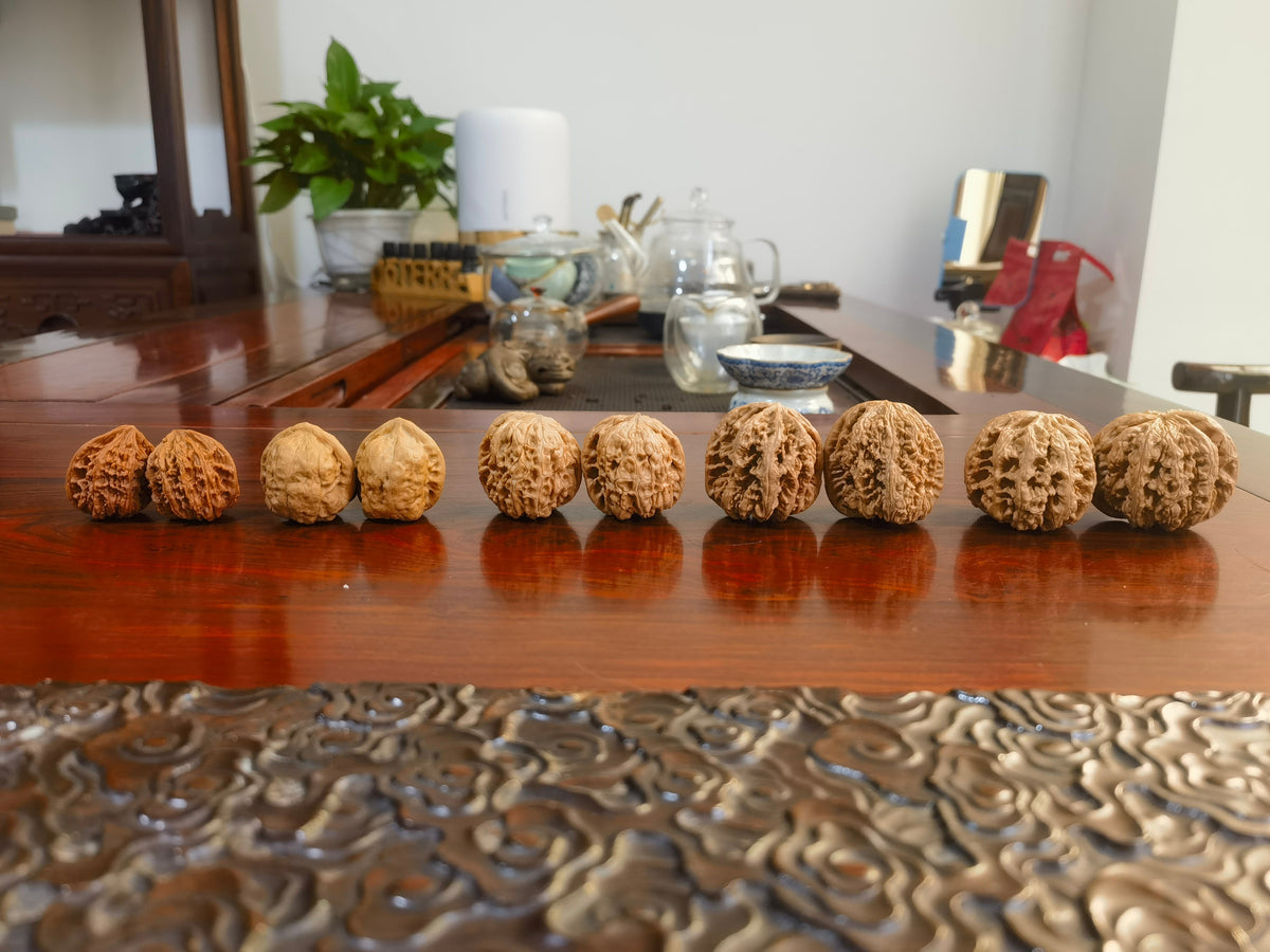 Wenwan Walnut Sizes and Shapes: A Real-Photo Guide - ThePatinaProject
