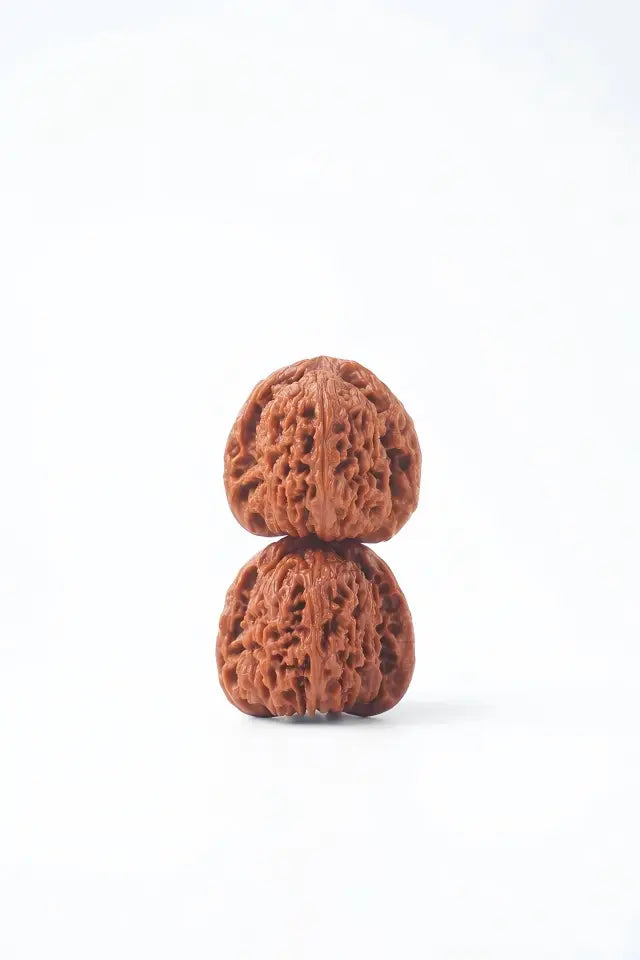 Nanjiang Stone Wenwan Walnuts