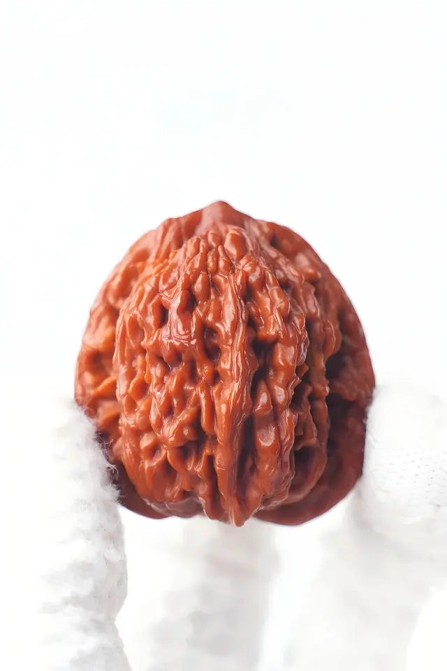 Tiger Head Wenwan Walnuts