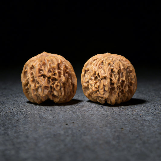 The "Hundred Longevity Lion Head" (Bai Shou Shi Zi Tou) Pair | 41.0mm x 38.0mm | BSSZT-03