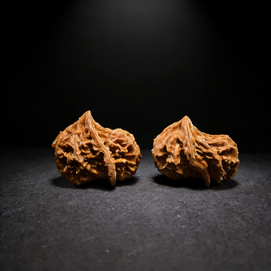 The "Alien Bird"  – Rare Asymmetrical Walnut Pair | Natural Ergonomic Fidget