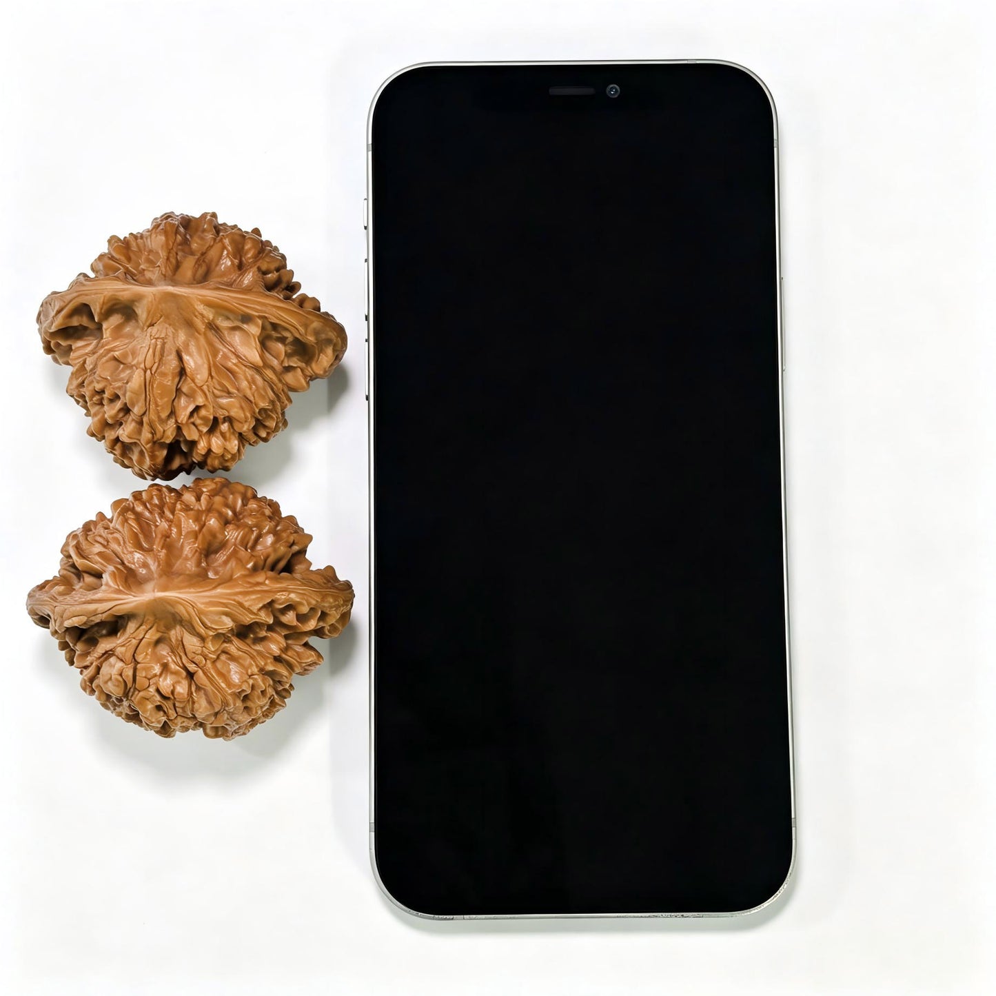 "Peach-Heart Concave Base Kylin" Taoxin Aodi Qilinwen Low-Profile Wenwan Walnuts Pair | 52.0mm x 44.0mm | TXADQLW-1502C