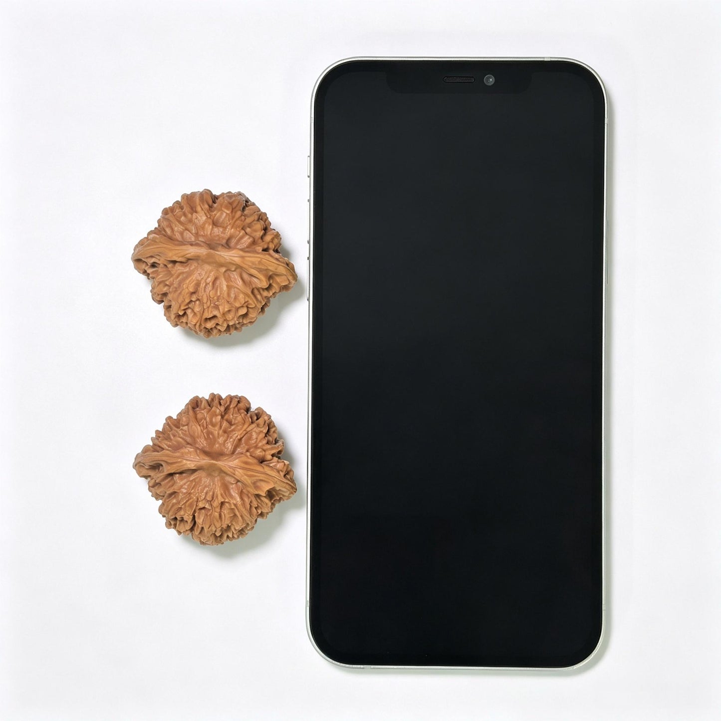 "Crescent Moon Lionhead" (Xuan Yue Shi Tou) Scholar Walnuts Pair | 39.0mm x 34.0mm | Low-Profile Broad-Edge Stance | Stock ID: XY-SY1C7