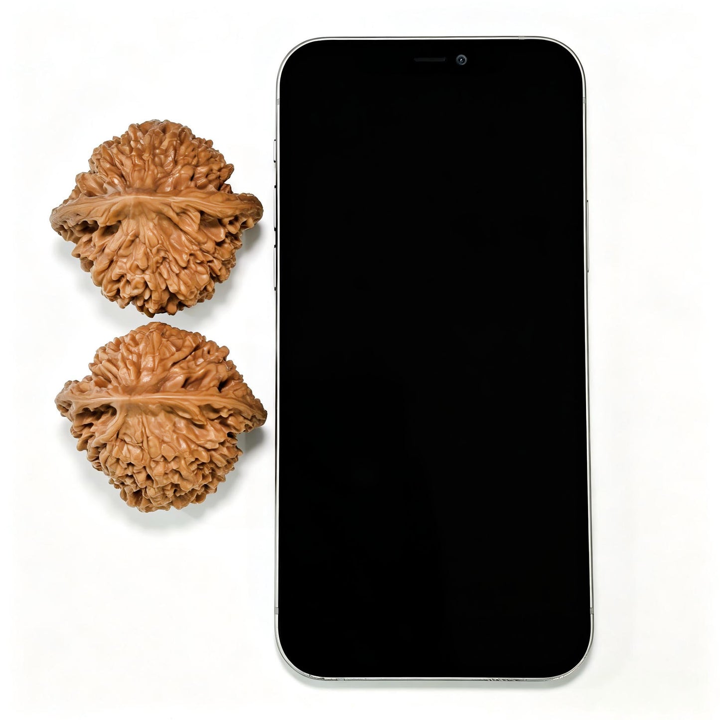 "Peach-Heart Concave Base Kylin" Taoxin Aodi Qilinwen Low-Profile Wenwan Walnuts Pair | 46.0mm x 43.0mm | TXADQLW-1503C