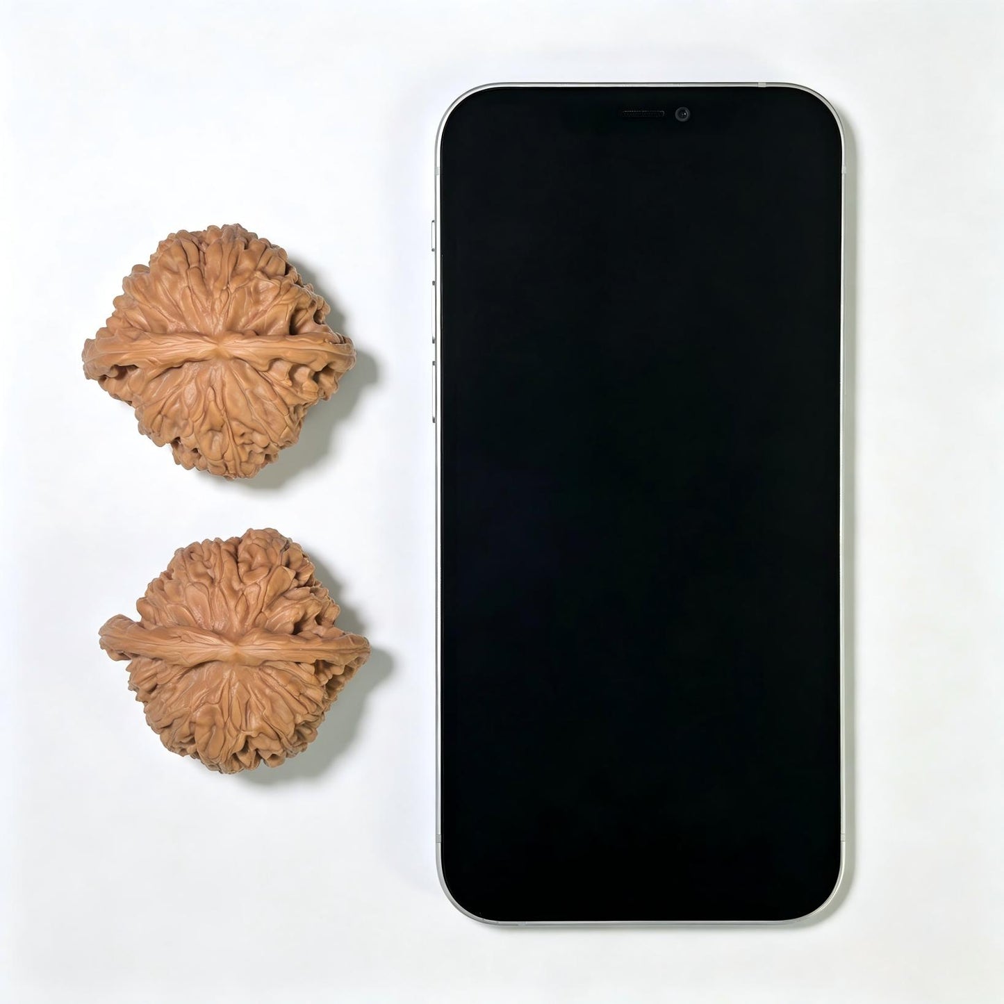 "White Lion Head" Bai Shishi Wenwan Walnuts Pair | 45.0mm x 43.0mm | BSJ-1552C