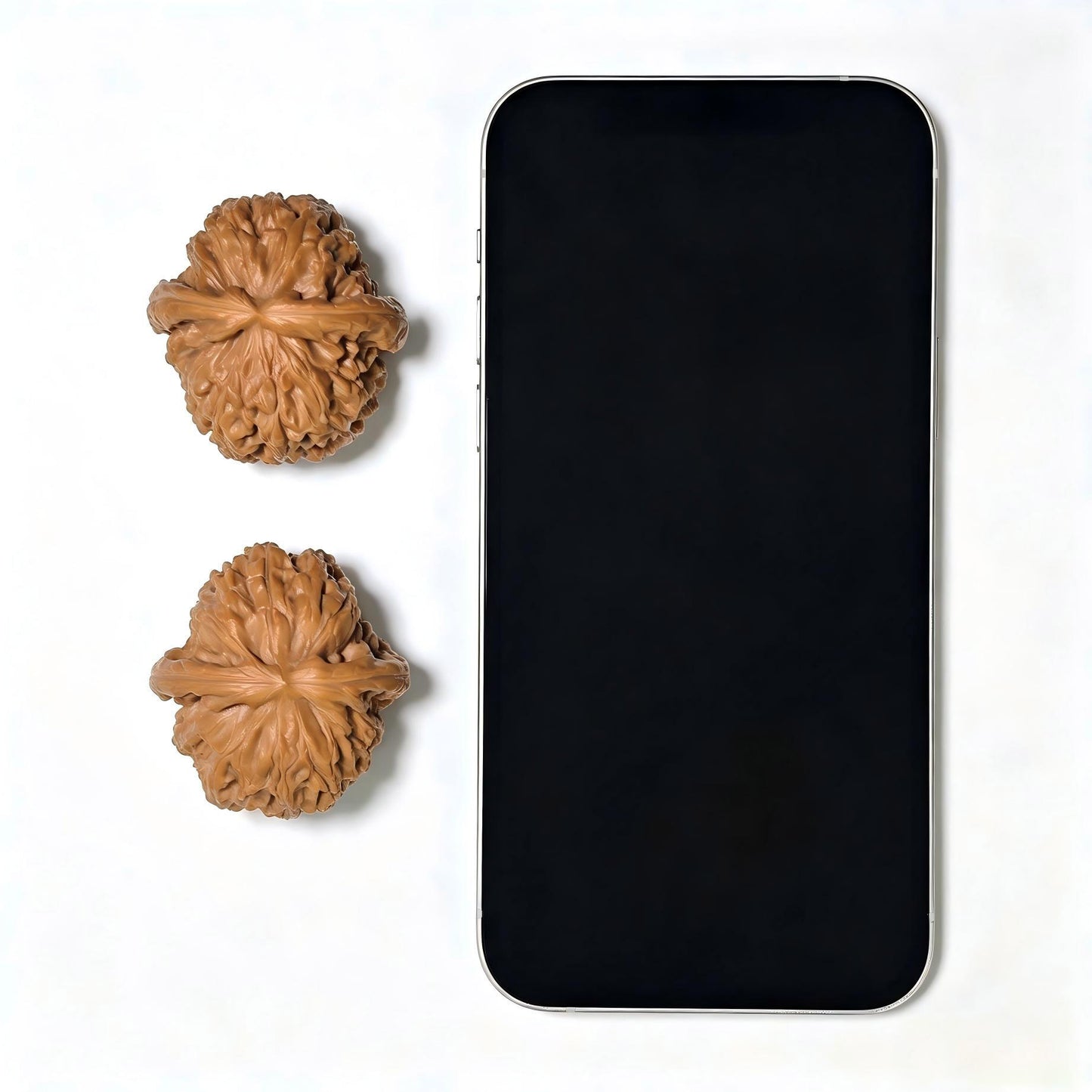 "White Lionhead" Baishizi BSJ-SY1C1 Low-Profile Wenwan Walnuts Pair | 39.0mm x 41.0mm | BSJ-SY1C1